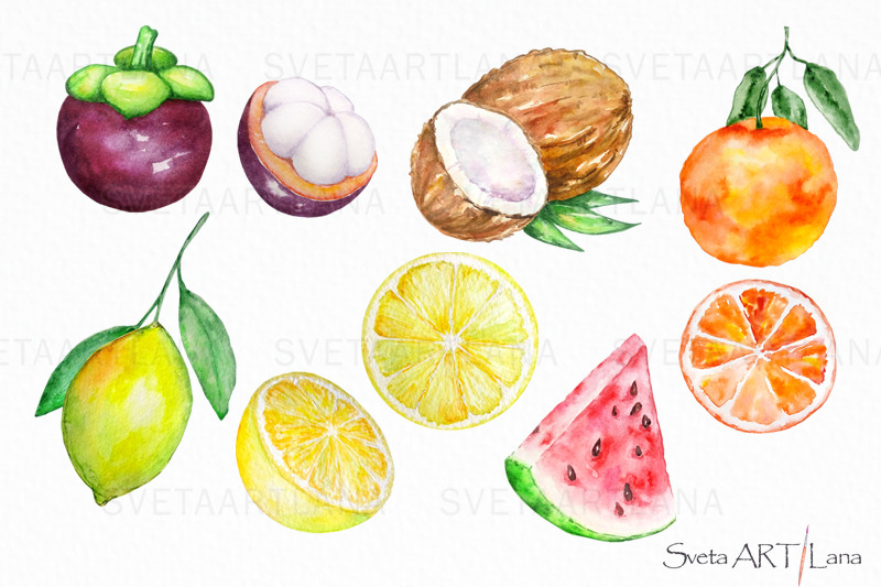 watercolor-tropical-juicy-fruits-clipart