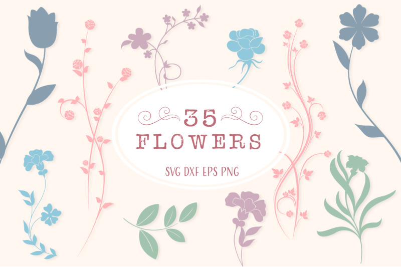 Best-Selling SVGs Bundle - 323 SVG Cut Files By Anastasia Feya Fonts