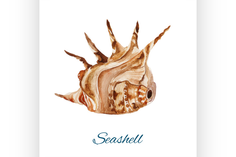 seashell-watercolor-painting-on-white-background