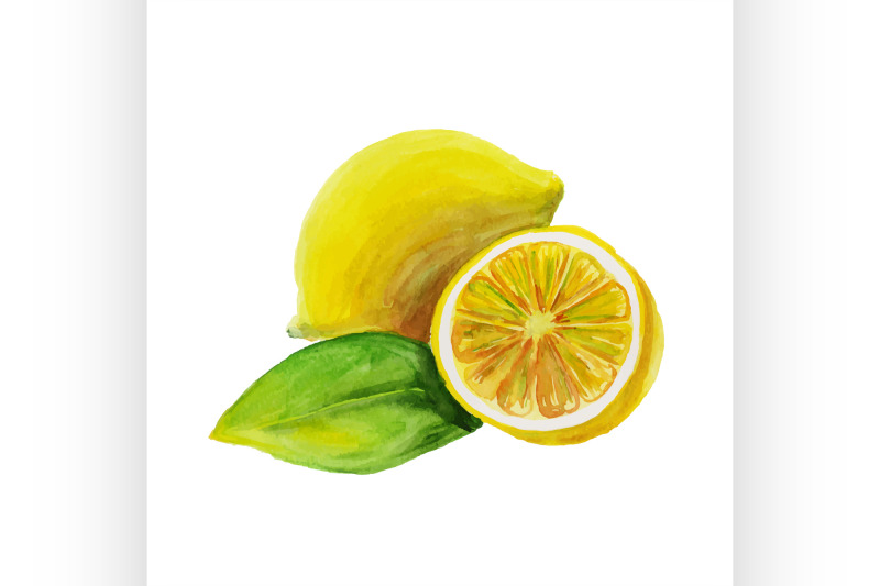 lemon-watercolor-painting-on-white-background