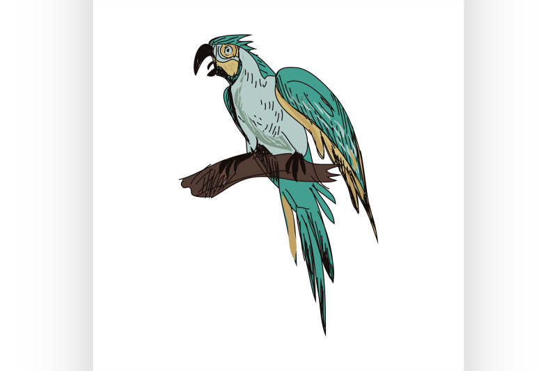 doodle-parrot
