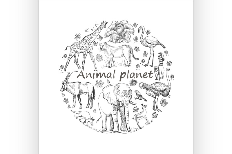 hand-drawn-save-animal-planet