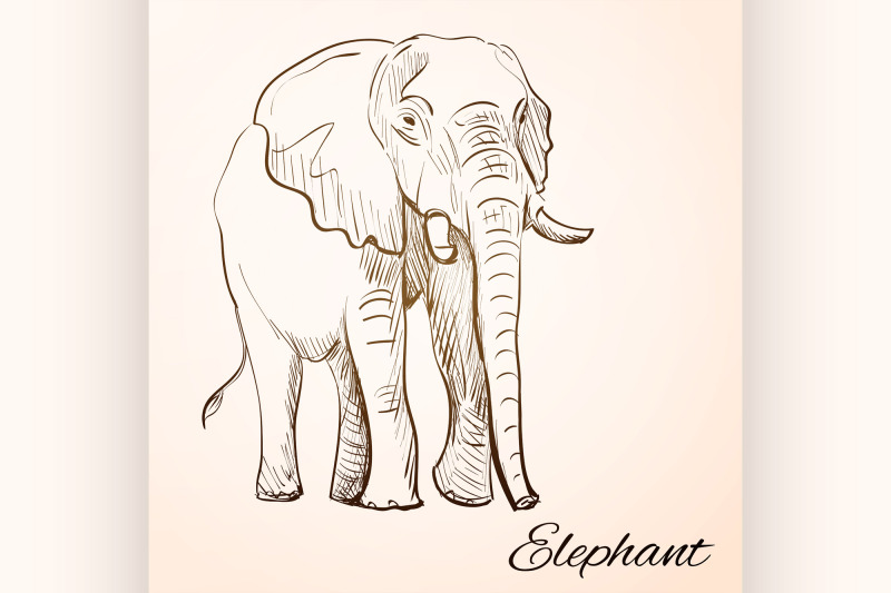 doodle-elephant