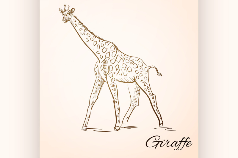 doodle-giraffe