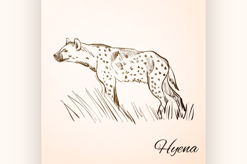 doodle-hyena