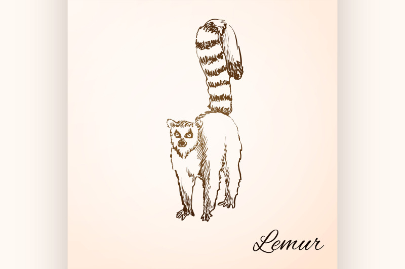 doodle-lemur