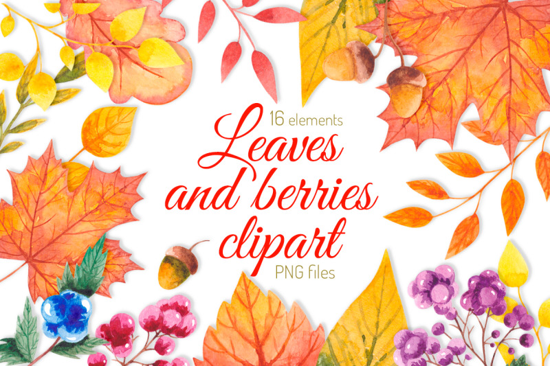 fall-clipart-watercolor-autumn-clipart-leaves-and-berries-thanksgiving