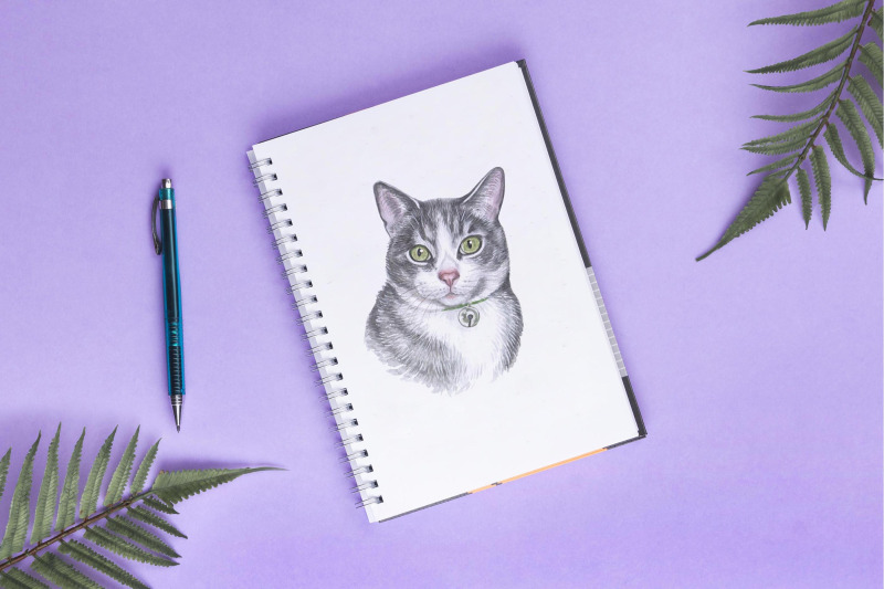 grey-cats-watercolor-set-nbsp-cat-illustrations-cute-10-cats-nbsp