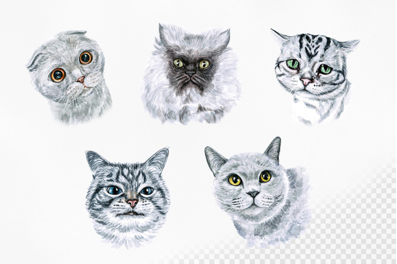 grey-cats-watercolor-set-nbsp-cat-illustrations-cute-10-cats-nbsp