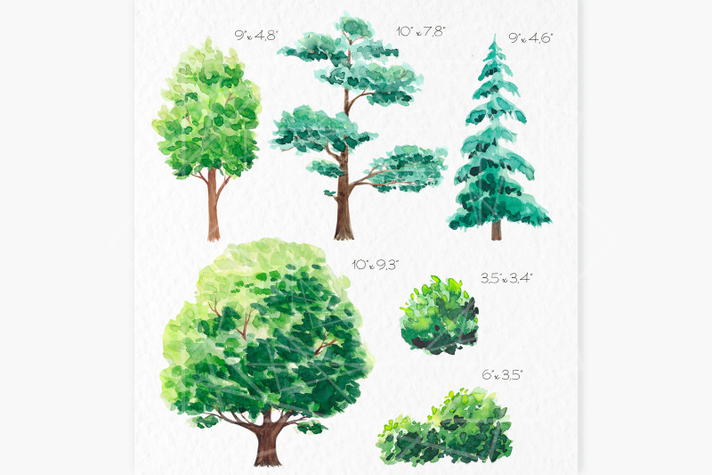 watercolor-trees-clipart-trees-and-bushes-oak-pine-tree-tree-graphics