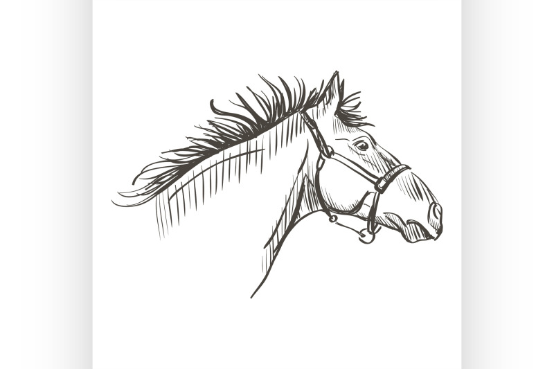 doodle-horse