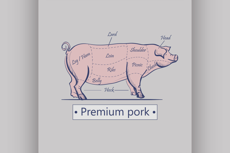 vector-cuts-of-pork