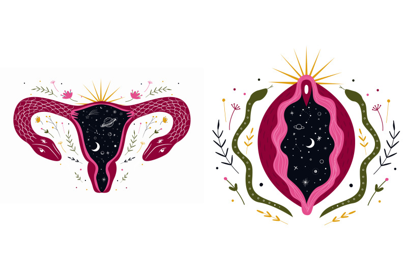 female-reproductive-system-vagina