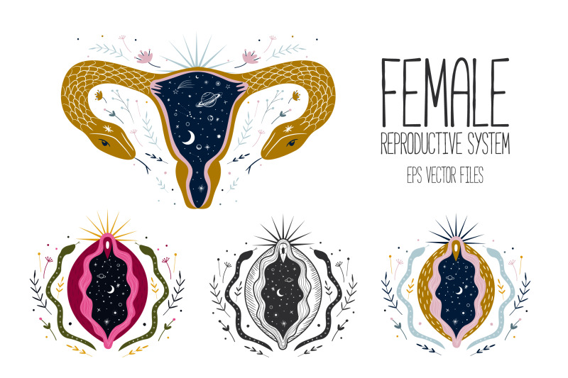 female-reproductive-system-vagina