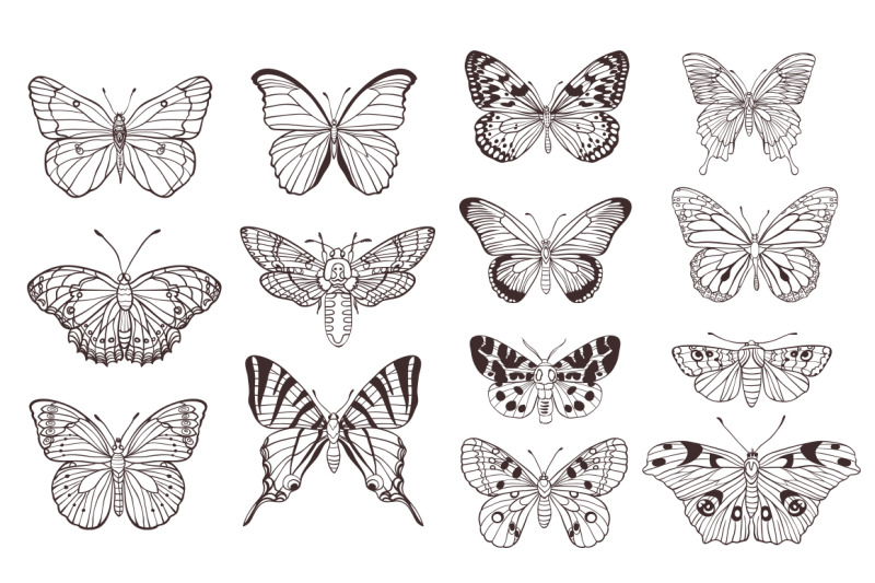 set-of-hand-drawn-butterflies