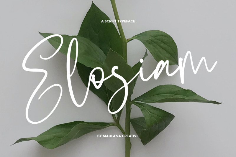 elosiam-script-typeface