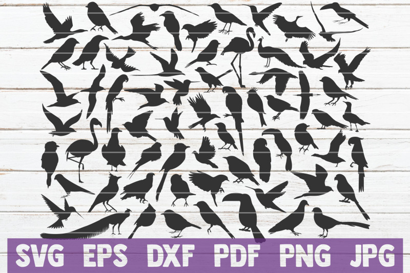 bird-silhouettes-svg-bundle-svg-cut-files