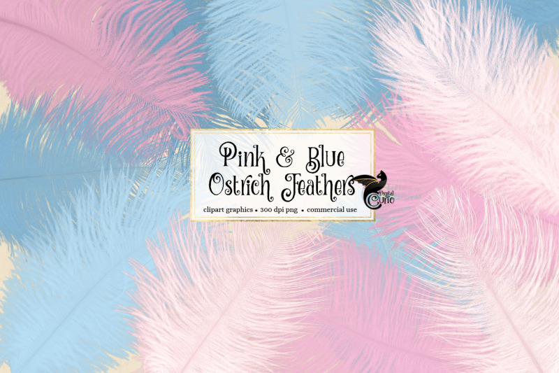 pink-and-blue-ostrich-feathers