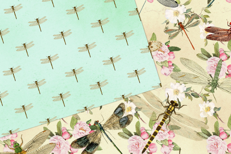 vintage-dragonfly-digital-paper
