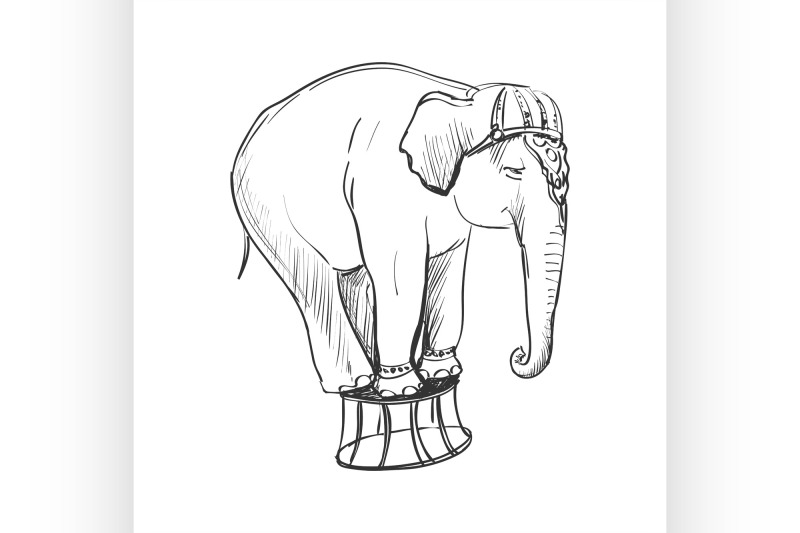 doodle-circus-elephant