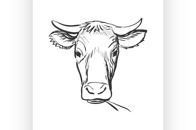 doodle-cow