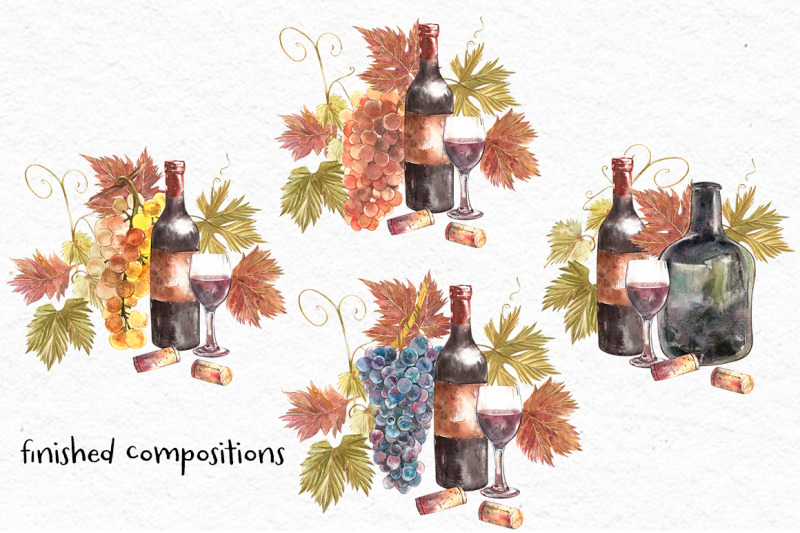 wine-and-grapes-set-illustrations