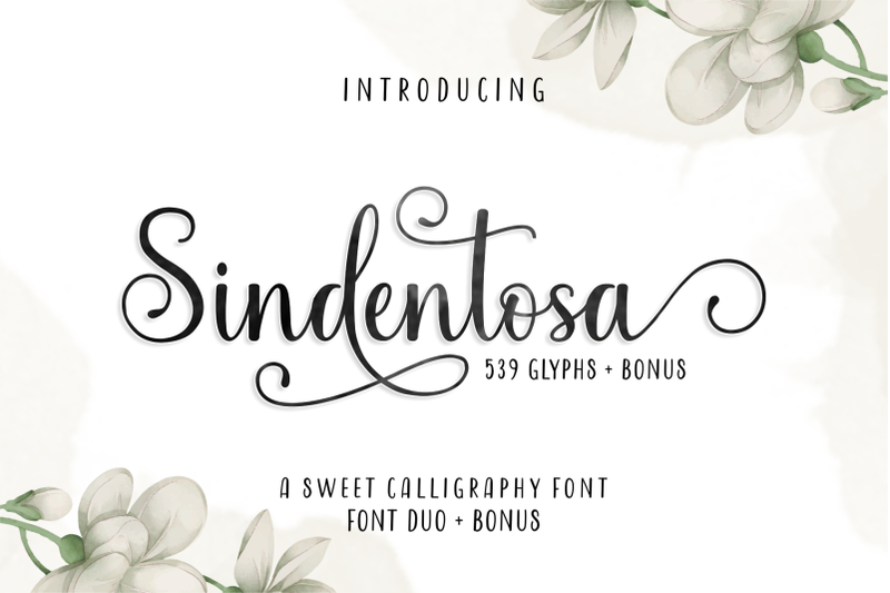 sindentosa-font-duo-amp-bonus