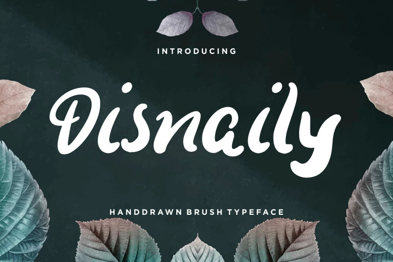 disnaily-handdrawn-brush