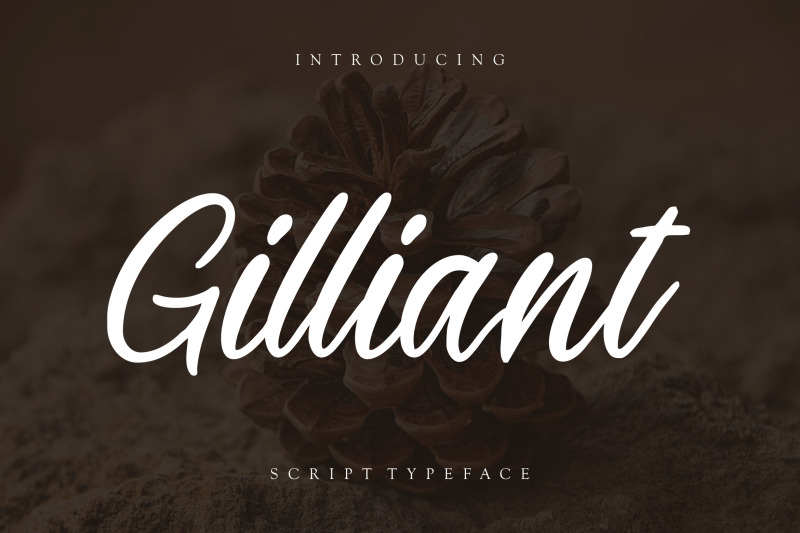 gilliant-script-typeface