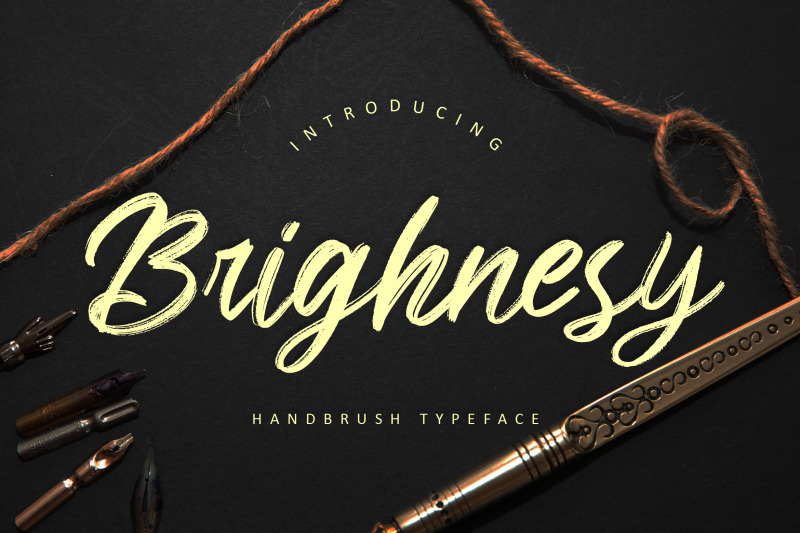 brighnesy-hand-brush