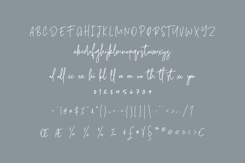 castallier-signature-script-font