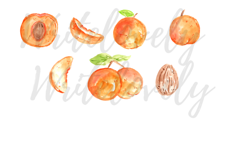 watercolor-apricot-fruit-clipart