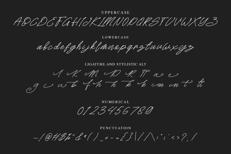 rattini-signature-handwritten-script-font