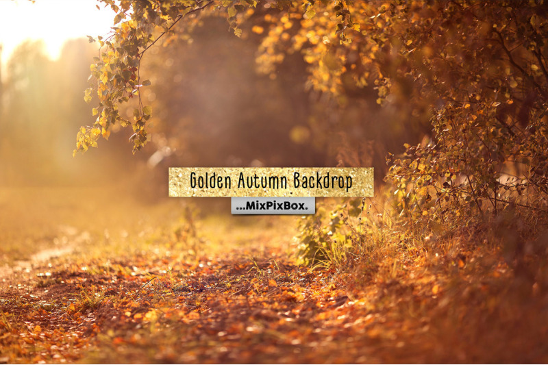 golden-autumn-backdrop