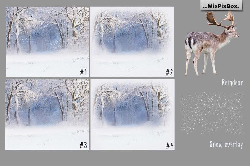 winter-reindeer-backdrop