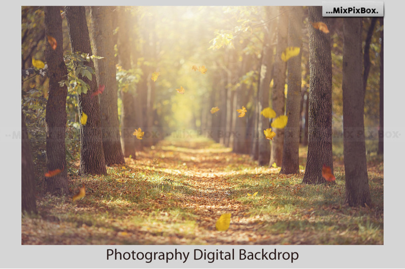 autumn-alley-backdrop