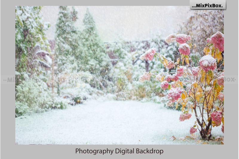 winter-garden-backdrops