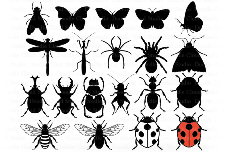 Insects Bundle SVG Cut Files, Insect Clipart, Dragonfly, Ladybug. By