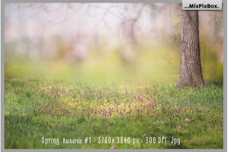 spring-backdrop-animals