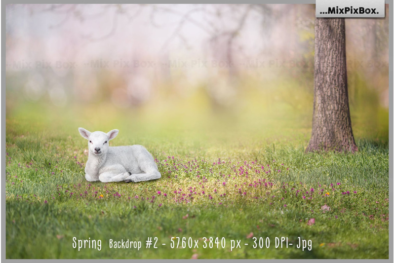 spring-backdrop-animals