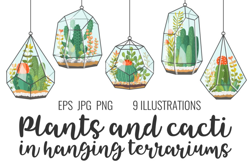 plants-and-cacti-in-terrariums