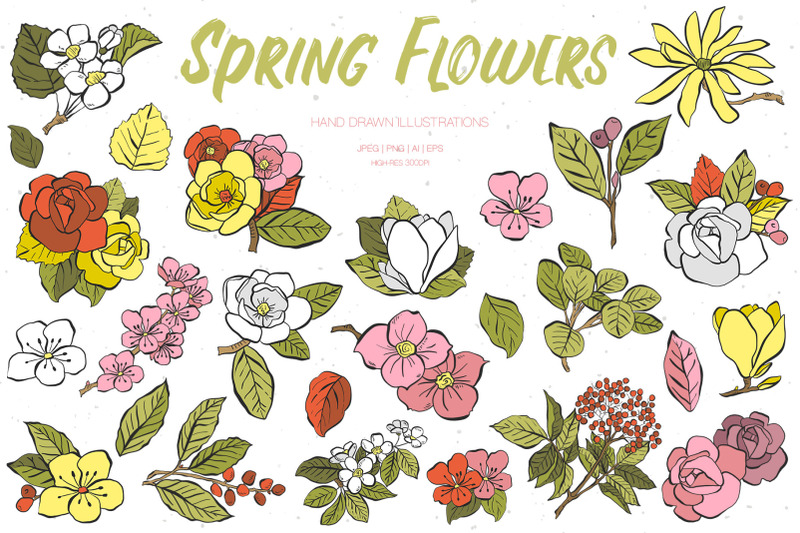 spring-flowers-illustrations