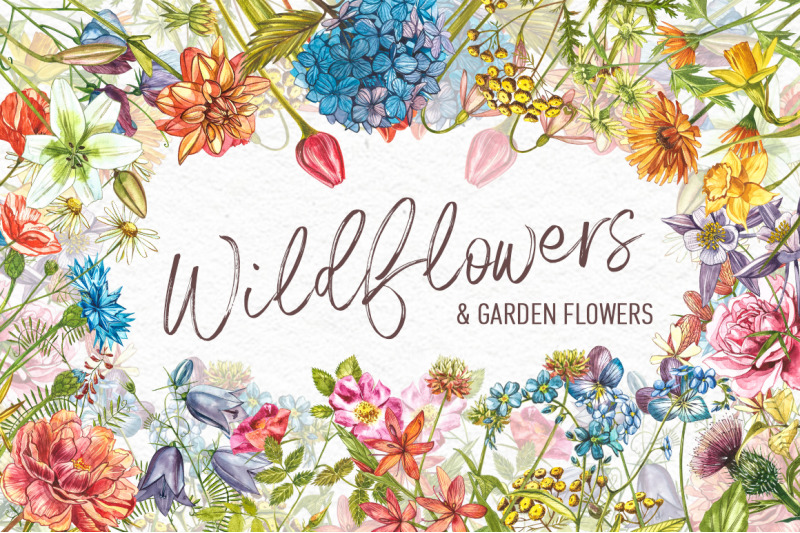 wildflowers-amp-gardenflowers-clipart
