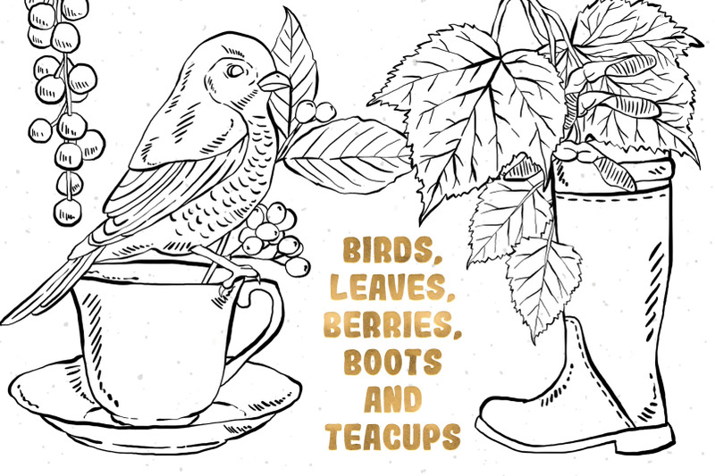 birds-leaves-and-boots-illustrations