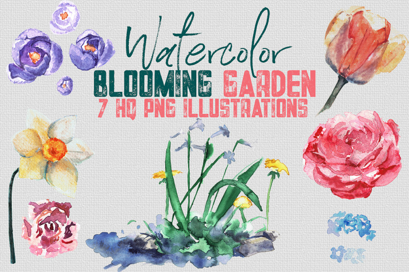 watercolor-set-of-illustrations-quot-blooming-garden-quot-7-pngs