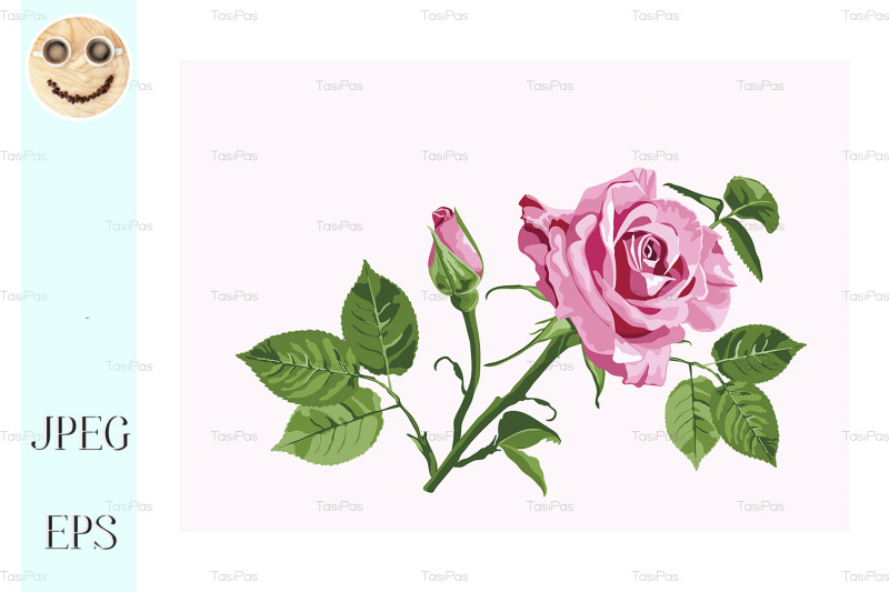 vector-greeting-card-with-pink-roses-on-the-white-background