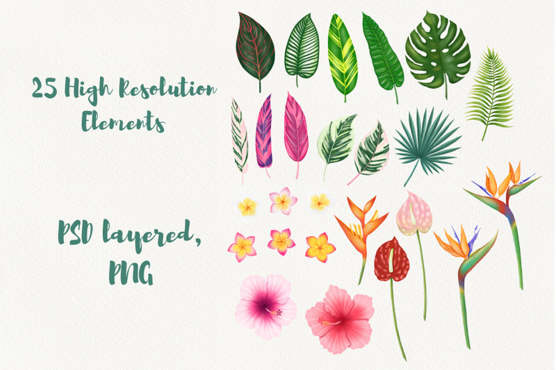 tropical-leaves-and-flowers-clipart