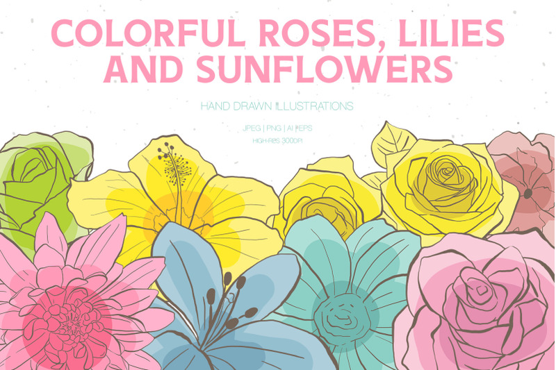 colorful-roses-lilies-and-sunflowers-illustrations