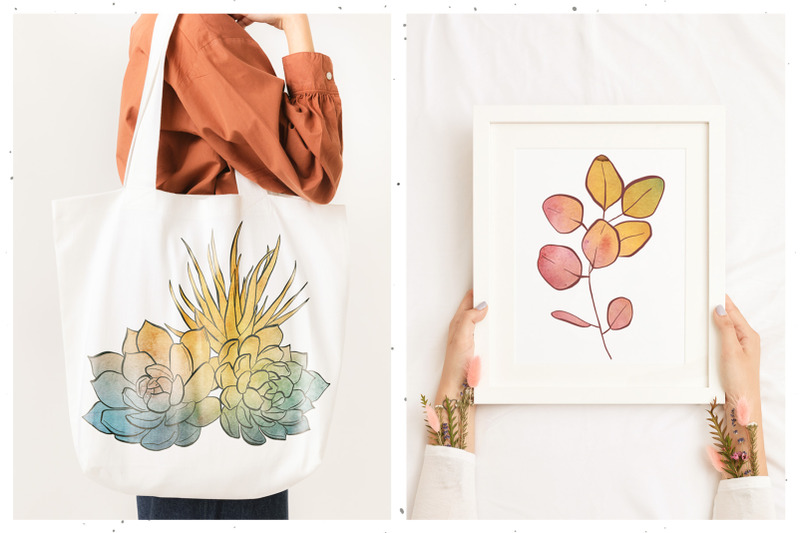 watercolor-flowers-and-succulents-illustrations