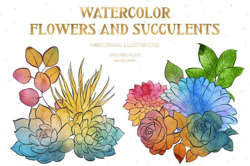 watercolor-flowers-and-succulents-illustrations